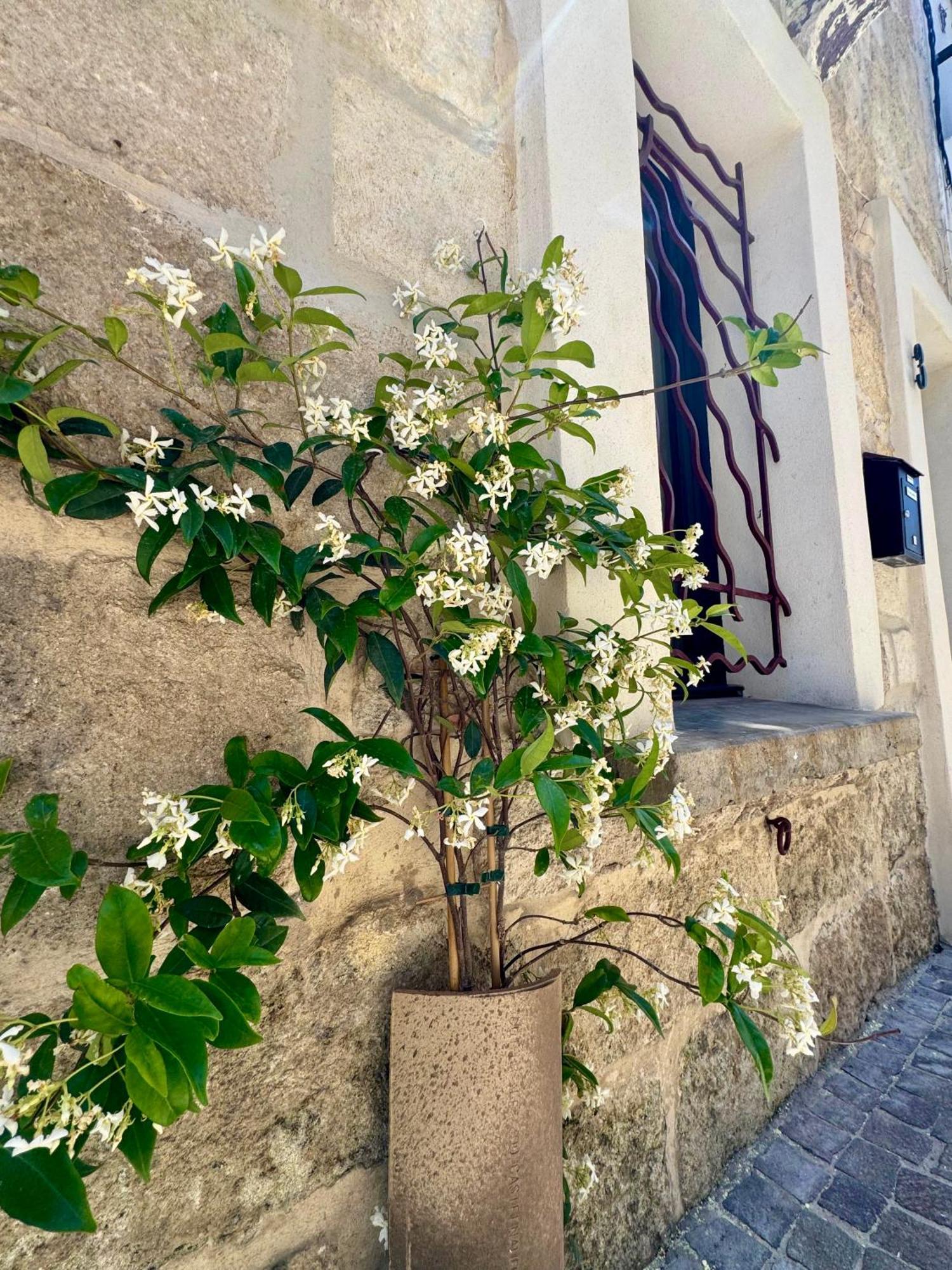 Maison De Village Renovee ! Le Grau-du-Roi Kültér fotó