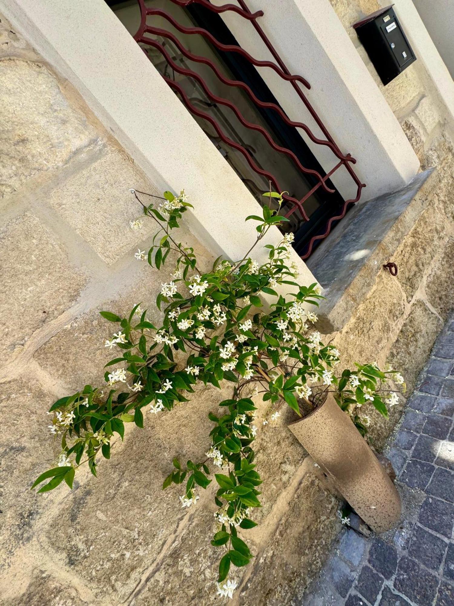 Maison De Village Renovee ! Le Grau-du-Roi Kültér fotó
